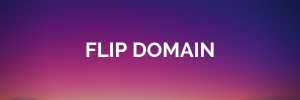 Flip Domain